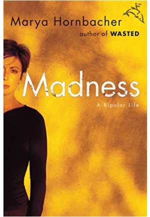 Madness: A Bipolar Life